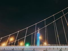 -珠江夜游广州塔·中大码头