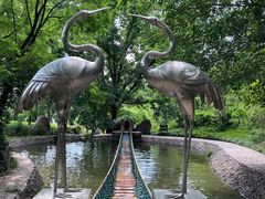 -雪山彩虹谷景区