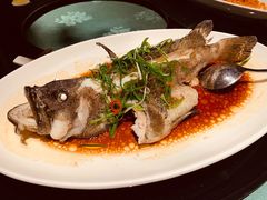石斑鱼-熙瓏里(万科店)