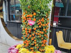 -胜记酒家·风味线(南山花园城店)