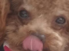 -郑享吃烧烤烩面(红专路店)