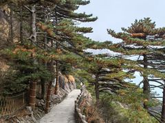 -黄山风景区