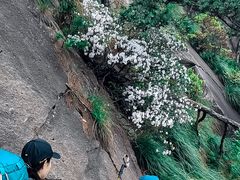 -石台牯牛降景区