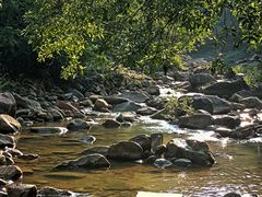 -广州白江湖森林公园