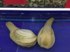 青年公社海鲜城-海鲜城大家餐厅