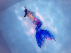 -上海潜殿潜水中心