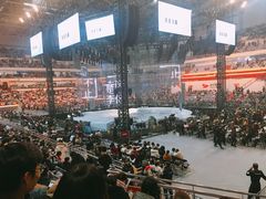 -南京奥林匹克体育中心-体育馆