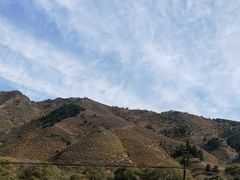 -御道口草原森林风景区