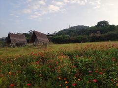 -缙云山景区