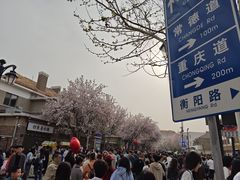 -天津五大道文化旅游区