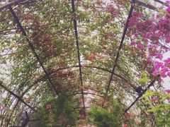 -The Grounds of Alexandria