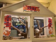 -龙猫仔乐园(惠福东路店)