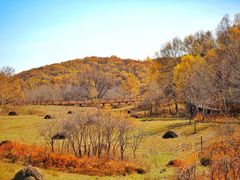 -塞罕坝国家级自然保护区