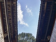 -雁南飞茶田景区