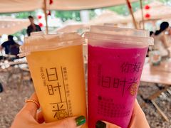 -西双版纳傣族园