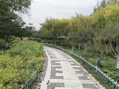 -东疆建设开发纪念公园