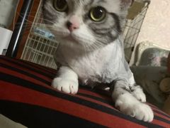 -多卡布奇宠物生活馆(上林世家店)