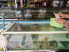 -两兄弟Song Pee Nong(2号店)