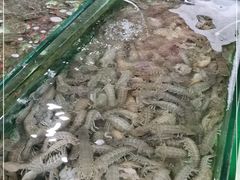 -南戴河海滨市场