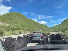 -莲宝叶则景区