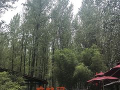 -林间山庄
