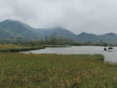 -大九湖