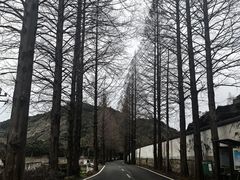 -会稽山峡洞漂流-上青古道