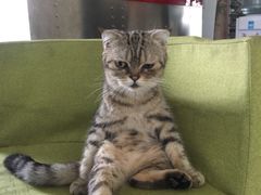 -炼呗运动康复·健身工作室(紫竹桥店)