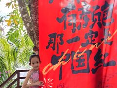 -呀诺达热带雨林