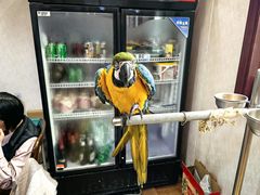 -观桥阁(锦溪店)