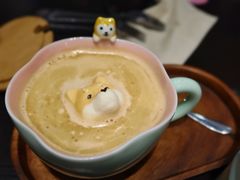 -逗柴咖啡屋·狗咖猫咖宠物桌游