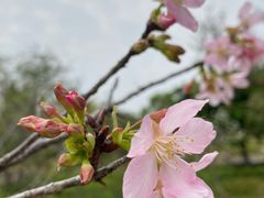 -聚龙山公园