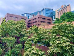 -香港大学