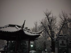 -巍阁高端月子会所