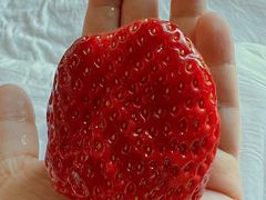 -华润万家(凯德和平广场店)