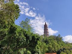 -顺峰山公园