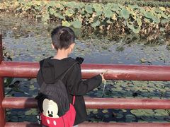 -长兴太湖图影湿地文化园