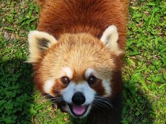 -黔灵山公园