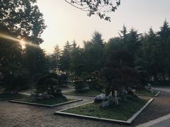 -屈原公园