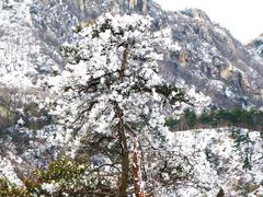 -沂蒙山旅游区云蒙景区(蒙山国家森林公园)
