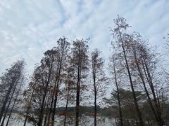 -海珠湖公园