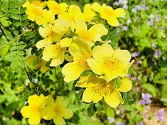 -周口店北京人遗址公园