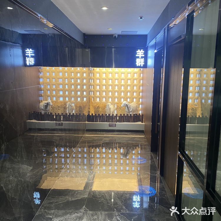 这个夏天让我吃到了让我快乐的快乐小羊