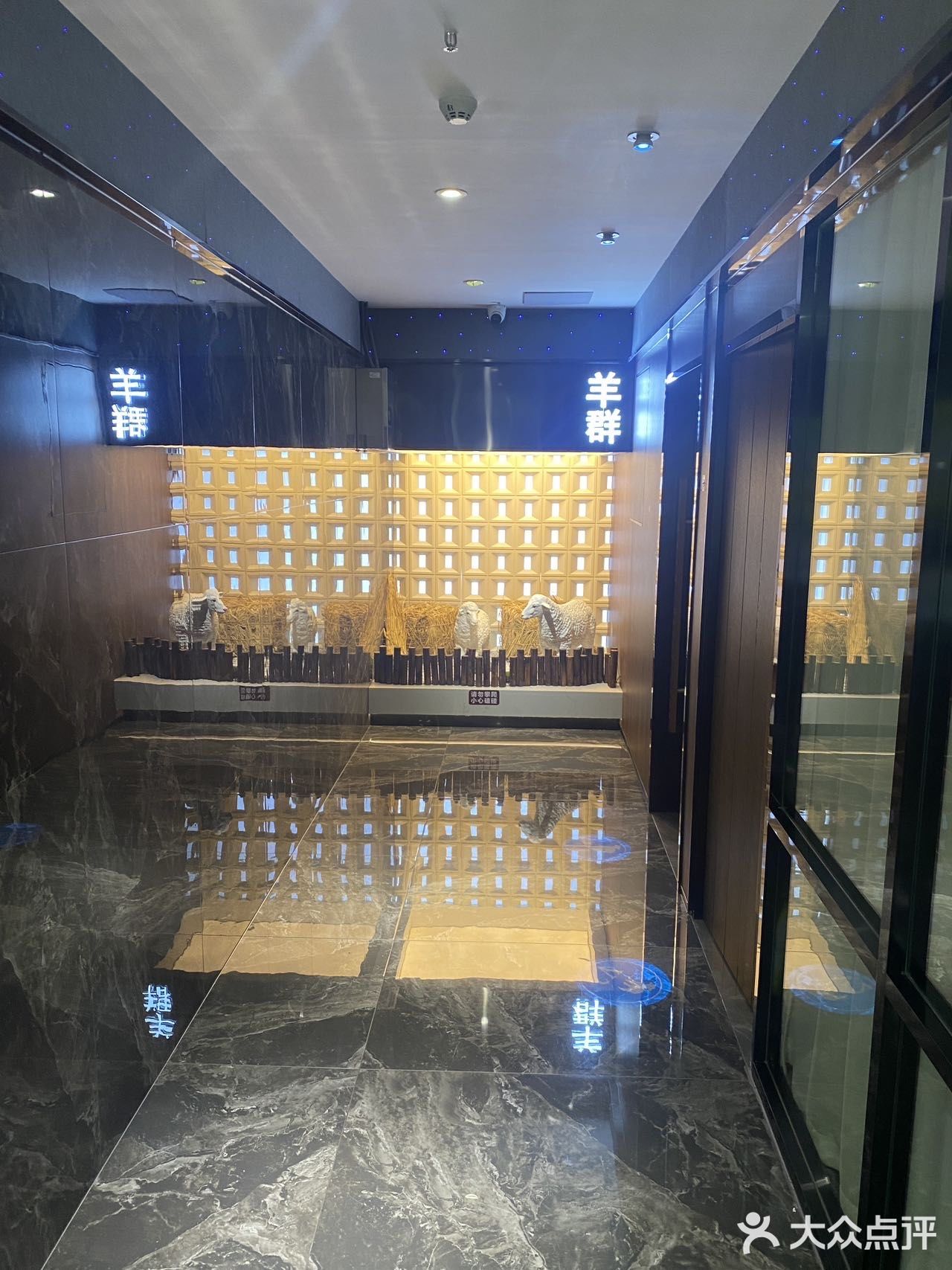 这个夏天让我吃到了让我快乐的快乐小羊
