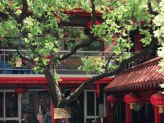 -天外天(忻黑线店)