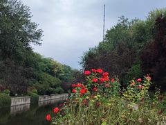 -元大都城垣遗址公园