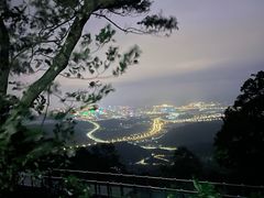 -黄埔油麻山森林公园