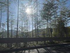 -江南天池