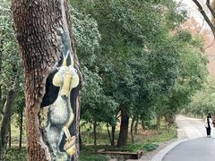 -灵谷景区