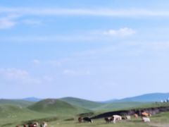 -塞罕坝国家级自然保护区